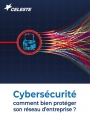 Bilan des cybermenaces �: identifier les risques et d�finir les bonnes pratiques