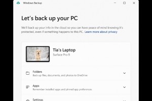 Windows Backup fait ses premiers pas dans Windows 11